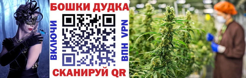 наркотики  Починок  МАРИХУАНА тримм 